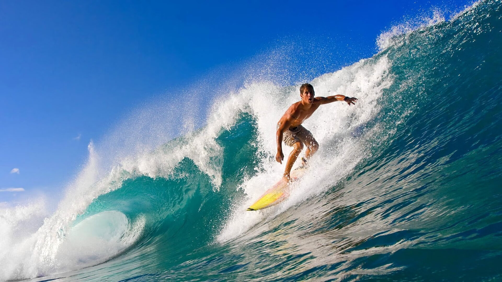 C9 YouTube频道订阅数突破百万,youtube频道订阅排名