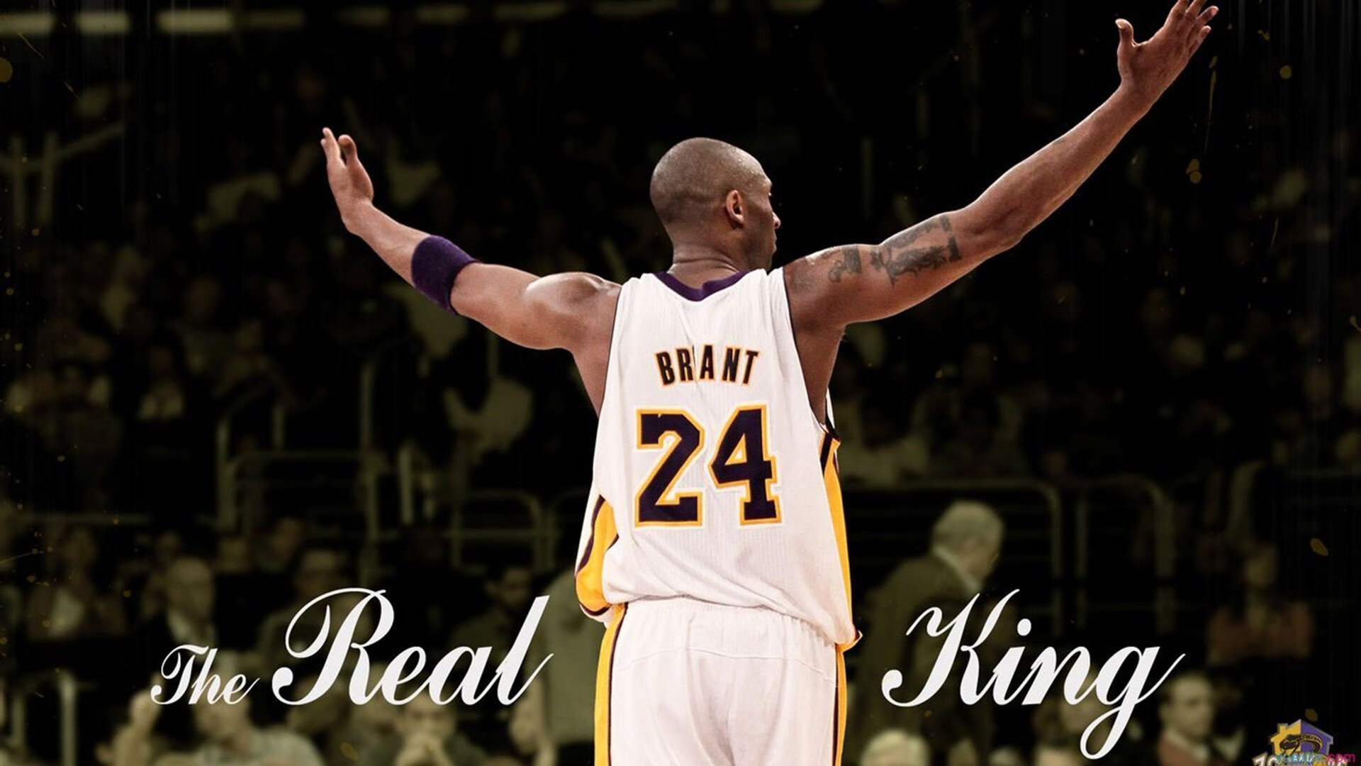 RNG选手社交媒体活跃,rng人气